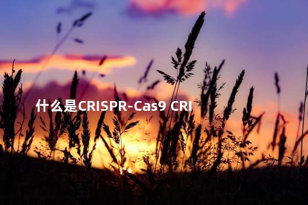 什么是CRISPR-Cas9 CRISPR-Cas9是什么意思